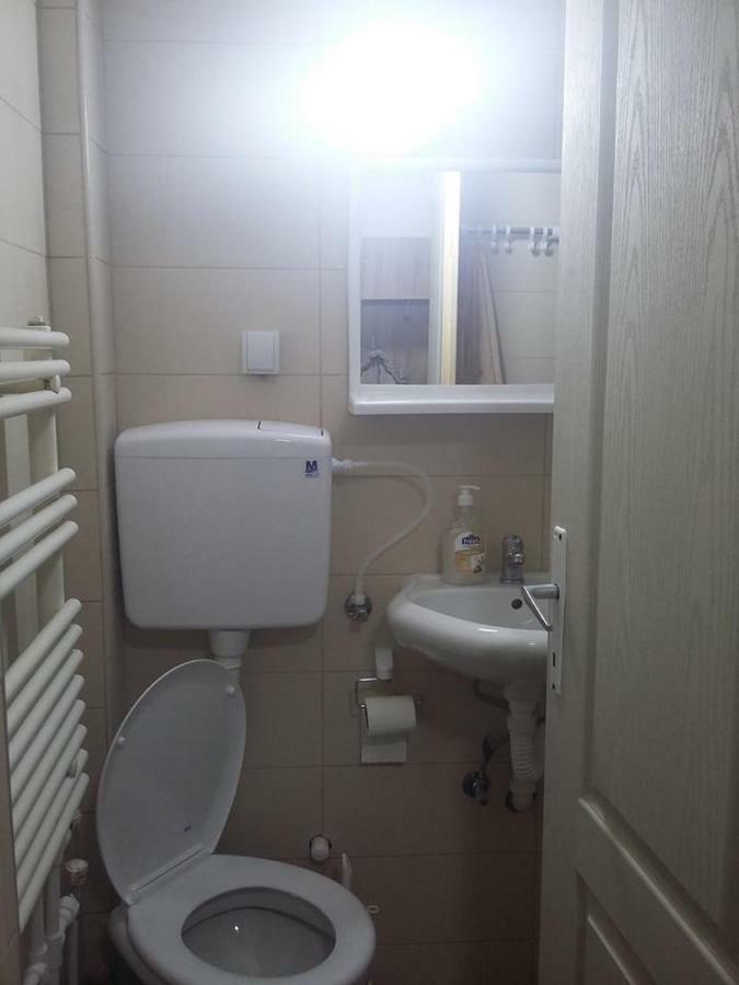 Domacinstvo Kod Gere Bed and Breakfast Crni Vrh Εξωτερικό φωτογραφία