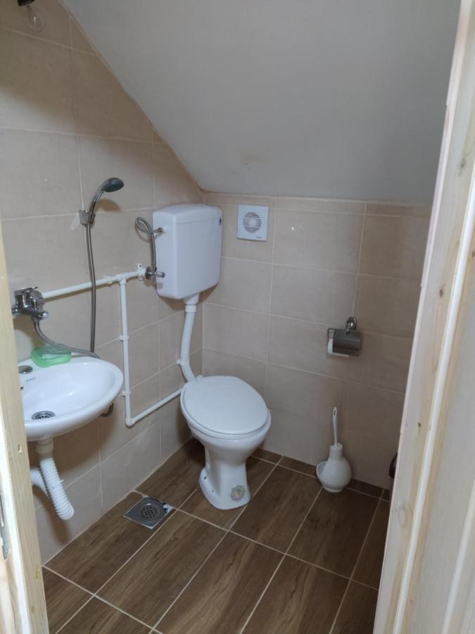 Domacinstvo Kod Gere Bed and Breakfast Crni Vrh Εξωτερικό φωτογραφία